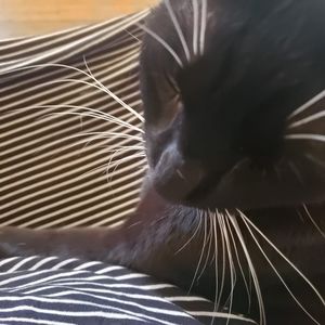 Meet your Posher, Lovisa